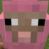 vikirs_2