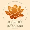 Đường Lối Dưỡng Sinh