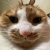 nqthinhuy7