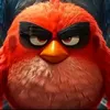 angry_trader_786