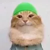 nurhaver.jamjahar7
