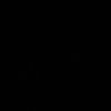 amir_b35