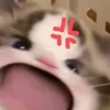 mg_mdzx
