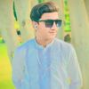 mohammedhassan8035