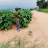 joephiri615