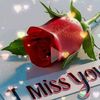 zain.shah4787