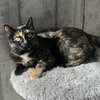 alina71152