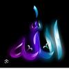 jj_stel_islam