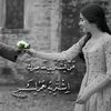 loulou434430