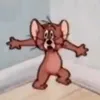 d4udonqu4