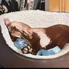 super_spaniel_coops