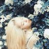 itgirlslovernim