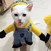 xirenex_55