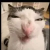 egorik_zaaab