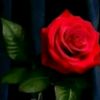 sumya9157