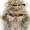 loshka328