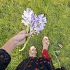 mayabio5