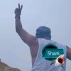 shark9816