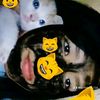 tu.loquita.11a