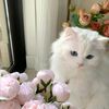 jory67000_jkism