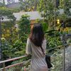 thet.mon799152