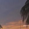 dhesh2128
