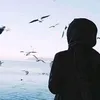 ashpazi24