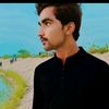 arslanmalik4926
