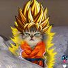 gama._11