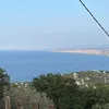 brnzi8