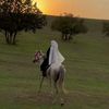 maroua_919