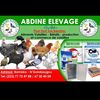 Abdine Elevage