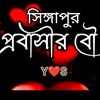 user8481421767493
