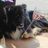 floppy_670