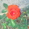 emmy_3535