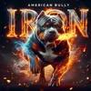 iron4478
