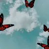 sohia__01