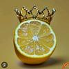 lemon_king3