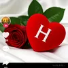 user81069452614231