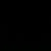 ldzin.zp