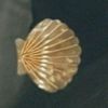 mbyllur11111115
