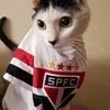 ricardo.ferreira7905