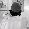 ali_alow511