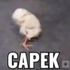 capekgw_1