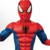 spiderschnider
