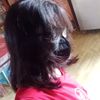 ai_ri057