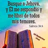 william.mota21