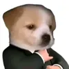 vanztpc