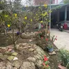 hungnguyen6042