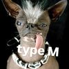 user125010706